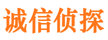 亭湖市侦探调查公司